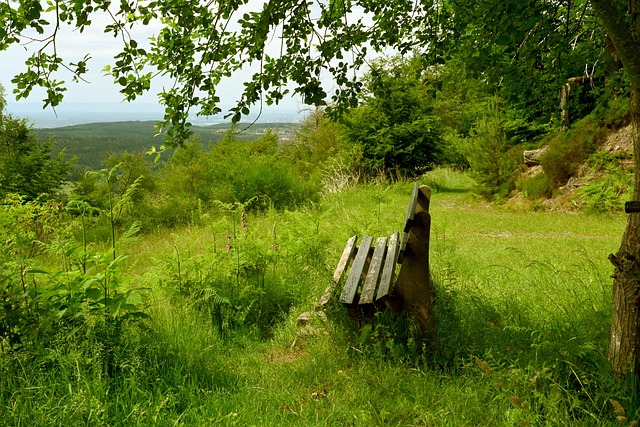 邓加：巴西球员和欧洲球员是不一样的，他们总想上场踢球