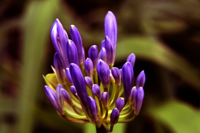 足球环境的 足球环境的